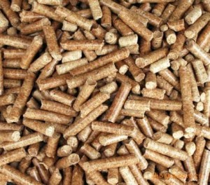 Biomass Energy